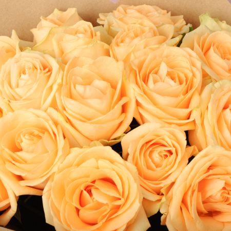 Букет из 19 роз Андромеда Букет из 19 роз Андромеда