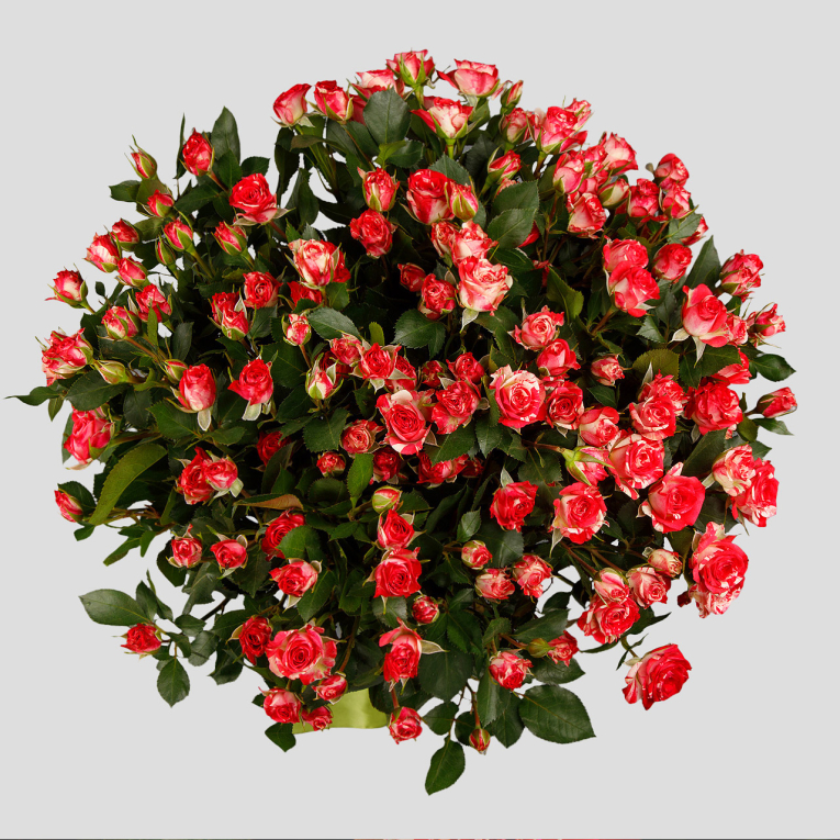 Букет 15 кустовых роз Фаер воркс Букет 15 кустовых роз Фаер воркс