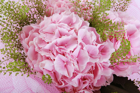 Букет с гортензиями Первая любовь Букет с гортензиями Первая любовь