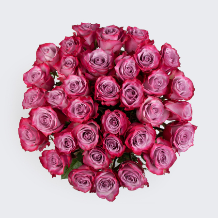 Букет 35 роз Дип Перпл (Эквадор), 60 см Букет 35 роз Дип Перпл (Эквадор), 60 см