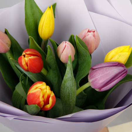 Букет Весенний калейдоскоп (9 тюльпанов) Букет Весенний калейдоскоп (9 тюльпанов)