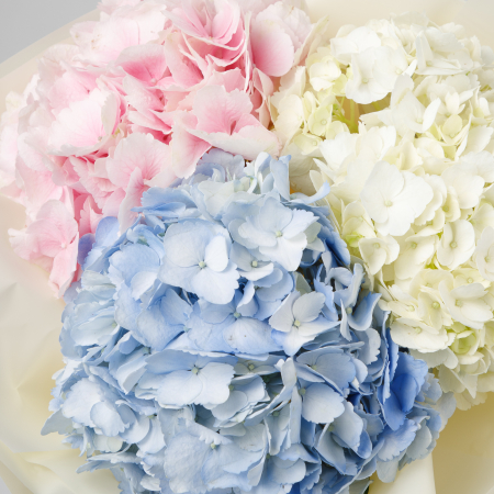 Букет гортензий Дорога к мечте Букет гортензий Дорога к мечте