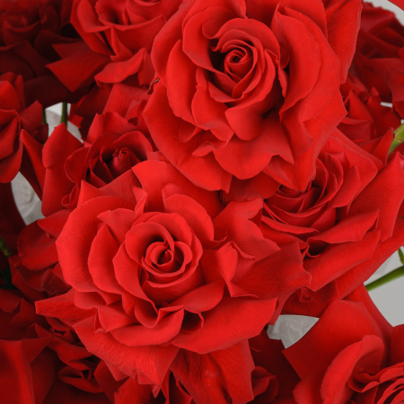 Букет в коробке Валентинка (35 роз) Букет в коробке Валентинка (35 роз)