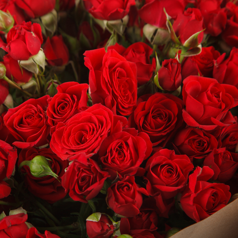 Букет из 21 кустовой розы Мирабель Букет из 21 кустовой розы Мирабель