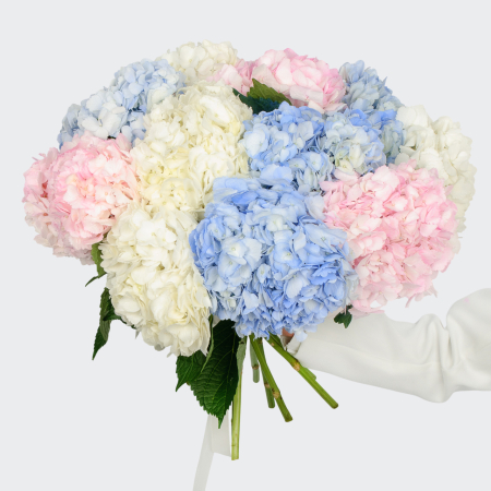 Букет 11 гортензий Цветочные облака Букет 11 гортензий Цветочные облака