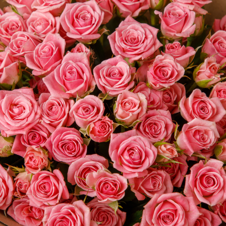 Букет 19 роз Поцелуи каждый день Букет 19 роз Поцелуи каждый день