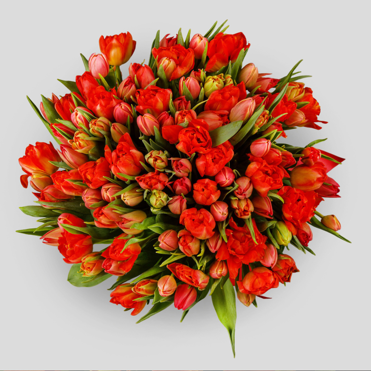 Букет 101 тюльпан, красно-оранжевые Букет 101 тюльпан, красно-оранжевые