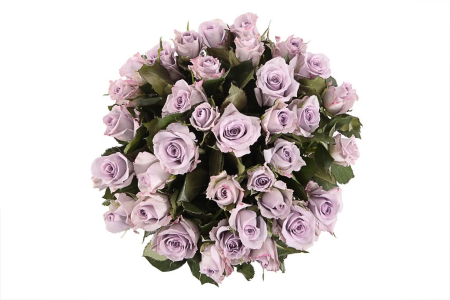 Букет Песнь Океана (35 роз) Букет Песнь Океана (35 роз)