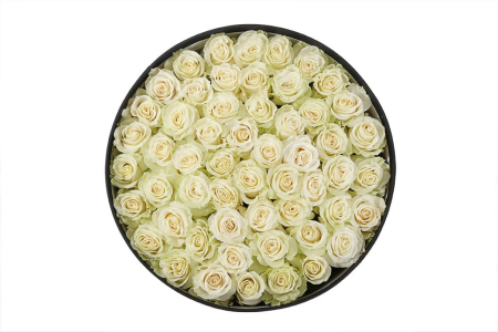 Букет 55 роз Мондиаль в шляпной коробке Букет 55 роз Мондиаль в шляпной коробке