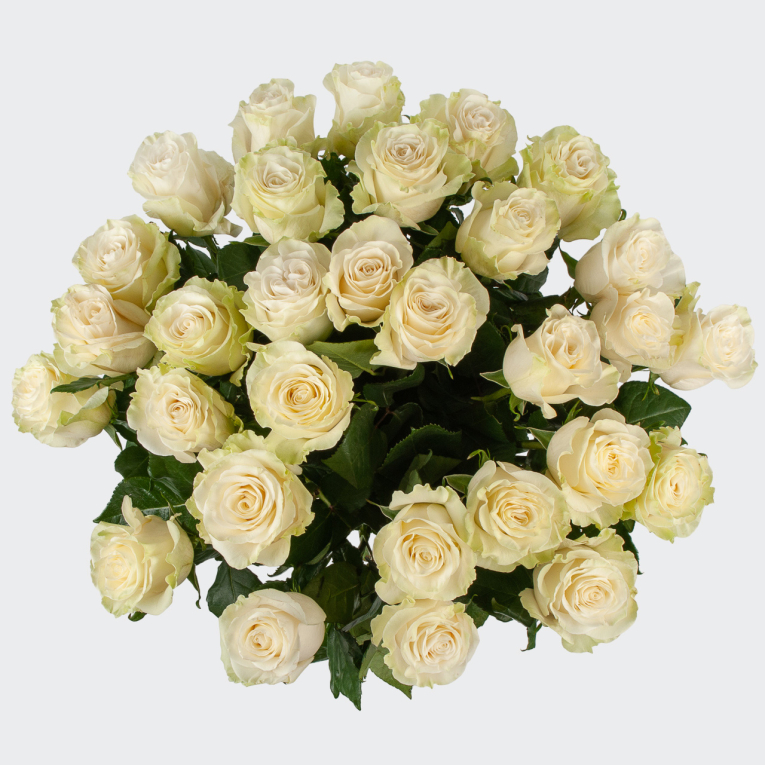 Букет 25 роз Мондиаль Букет 25 роз Мондиаль