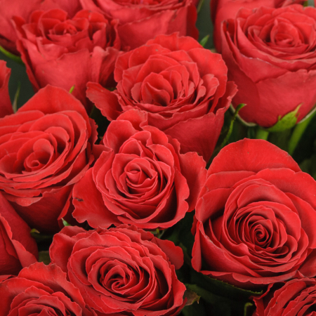 Букет  из 19 роз Лето красное Букет  из 19 роз Лето красное
