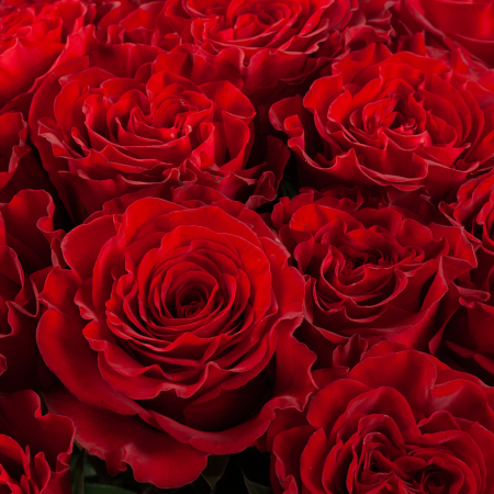 Букет 35 роз Хартс (Эквадор), 60 см Букет 35 роз Хартс (Эквадор), 60 см