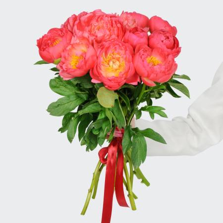 Букет 11 пионов В порыве чувств Букет 11 пионов В порыве чувств