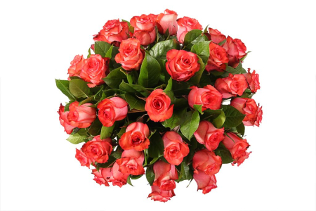 Букет 35 роз Игуана в корзине Букет 35 роз Игуана в корзине