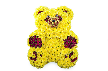 Мишка Мишка