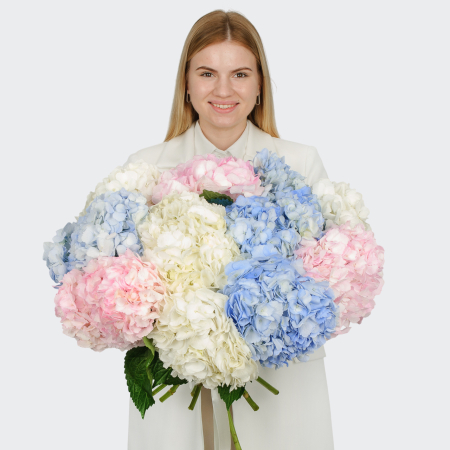 Букет 11 гортензий Цветочные облака Букет 11 гортензий Цветочные облака