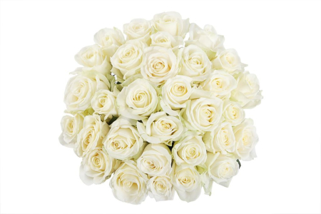 Букет 31 роза Аваланш 60/70 см Букет 31 роза Аваланш 60/70 см