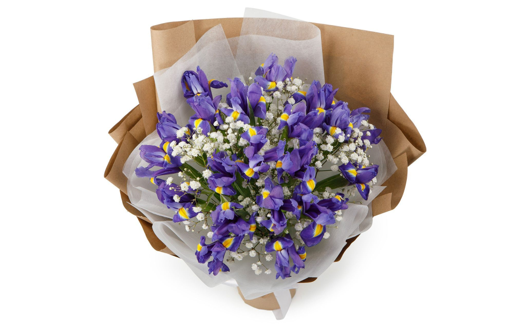 Букет с ирисами Летняя пора (макси) Букет с ирисами Летняя пора (макси)