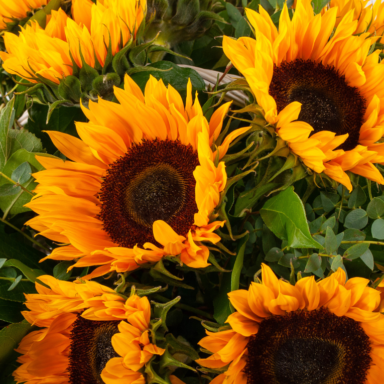 Букет в корзине Летняя лирика Букет в корзине Летняя лирика