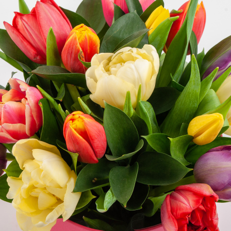 Букет в коробке Девушки весной (15 тюльпанов) Букет в коробке Девушки весной (15 тюльпанов)