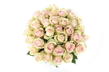 Букет 35 роз Ла Бель Букет 35 роз Ла Бель