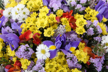 Букет Цветок папоротника Букет Цветок папоротника