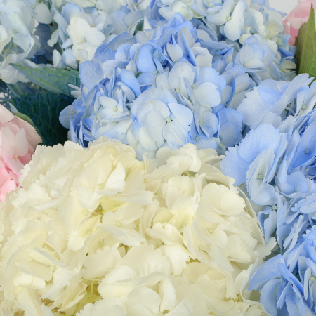 Букет 7 гортензий Цветочные облака Букет 7 гортензий Цветочные облака