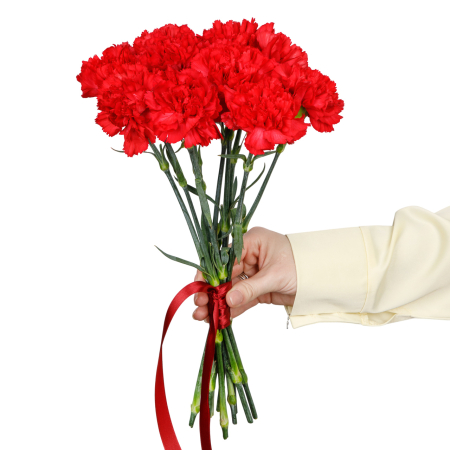 Букет Красный октябрь (10 гвоздик) Букет Красный октябрь (10 гвоздик)