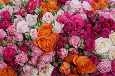 Букет 301 поцелуй Букет 301 поцелуй