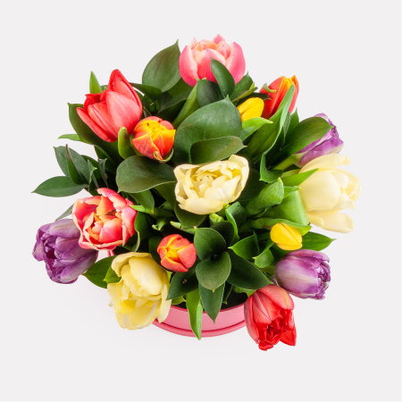 Букет в коробке Девушки весной (15 тюльпанов) Букет в коробке Девушки весной (15 тюльпанов)