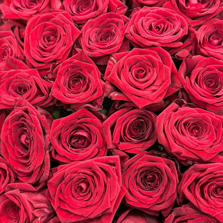 Букет 501 роза в корзине Букет 501 роза в корзине