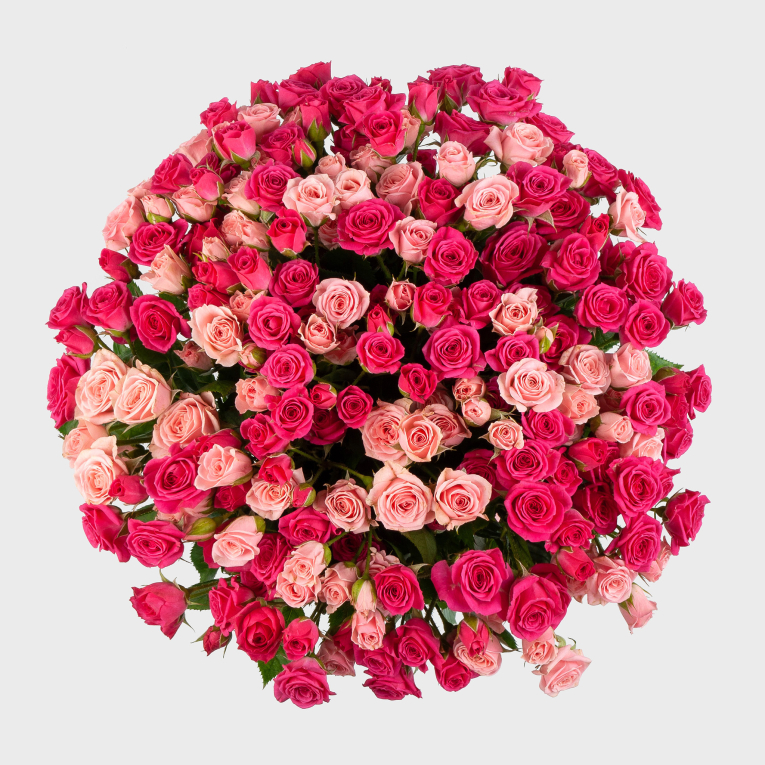 Букет из 51 розы Розовая Венера Букет из 51 розы Розовая Венера