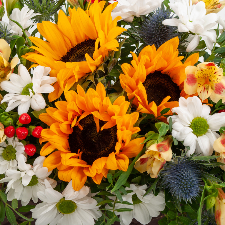 Букет в кашпо Волшебный фонарь Букет в кашпо Волшебный фонарь