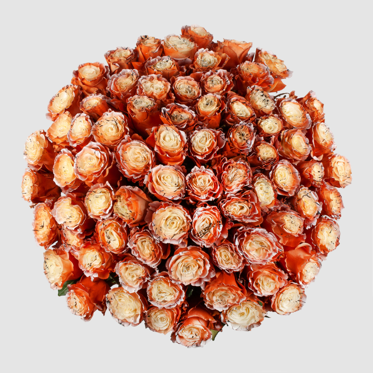 Букет 75 роз Золотые мгновения Букет 75 роз Золотые мгновения