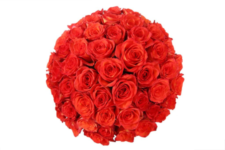 Букет 51 роза Хай Мэджик в шляпной коробке Букет 51 роза Хай Мэджик в шляпной коробке