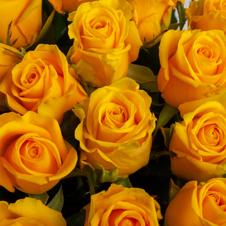 Букет из 35 роз Золото любви Букет из 35 роз Золото любви