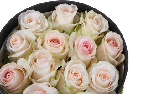 Букет 13 роз Сеньорита в шляпной коробке Букет 13 роз Сеньорита в шляпной коробке