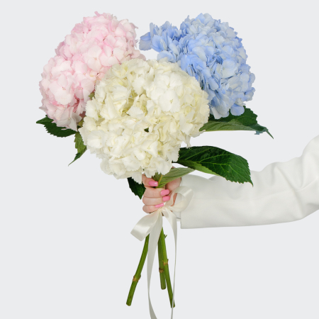 Букет 3 гортензии Цветочные облака Букет 3 гортензии Цветочные облака