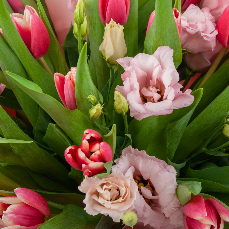 Букет Весенняя палитра (розово-алая) Букет Весенняя палитра (розово-алая)