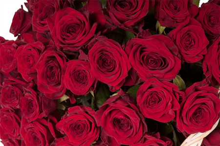 Букет 101 роза в корзине Букет 101 роза в корзине