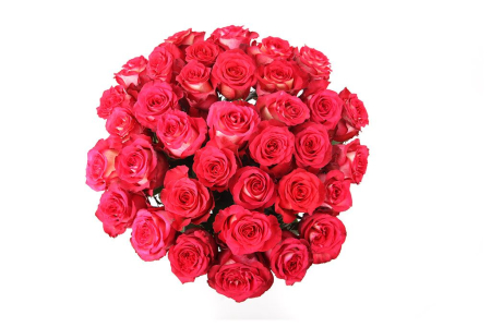 Букет 35 роз Игуазу Букет 35 роз Игуазу