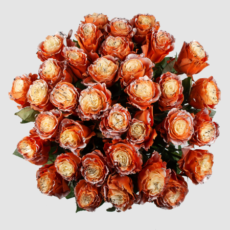 Букет 35 роз Золотые мгновения Букет 35 роз Золотые мгновения