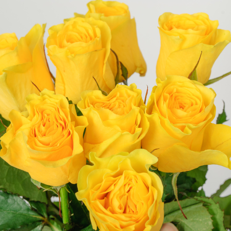 Букет 9 роз Илиос Букет 9 роз Илиос