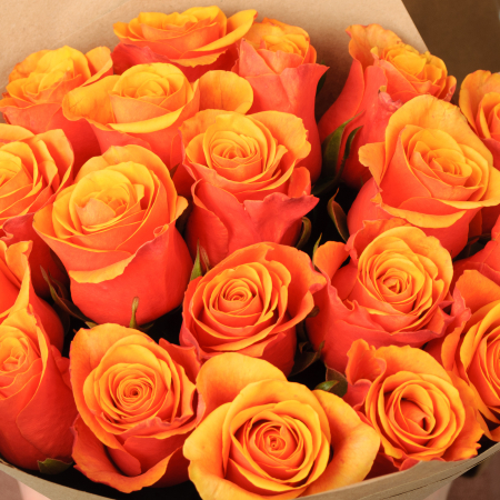 Букет из 19 роз Райские пташки Букет из 19 роз Райские пташки