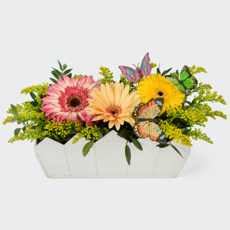 Композиция Метаморфозы знаний Композиция Метаморфозы знаний