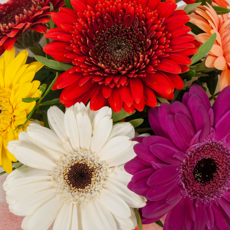 Букет в коробке Семицветик Букет в коробке Семицветик