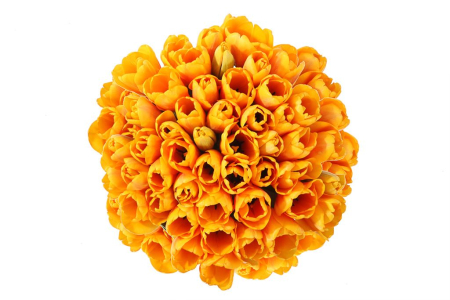 Букет 51 королевский тюльпан в коробке, рыжие Букет 51 королевский тюльпан в коробке, рыжие