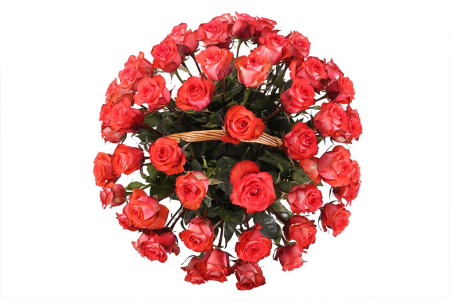 Букет 51 роза Игуана в корзине Букет 51 роза Игуана в корзине