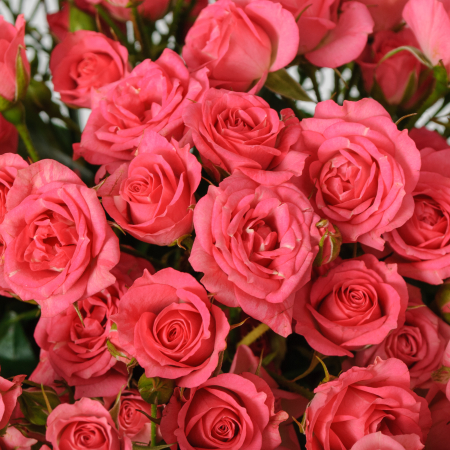 Букет 19 кустовых роз Лидия (50 см) Букет 19 кустовых роз Лидия (50 см)