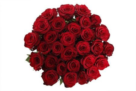 Букет 31 роза Ред Париж Букет 31 роза Ред Париж